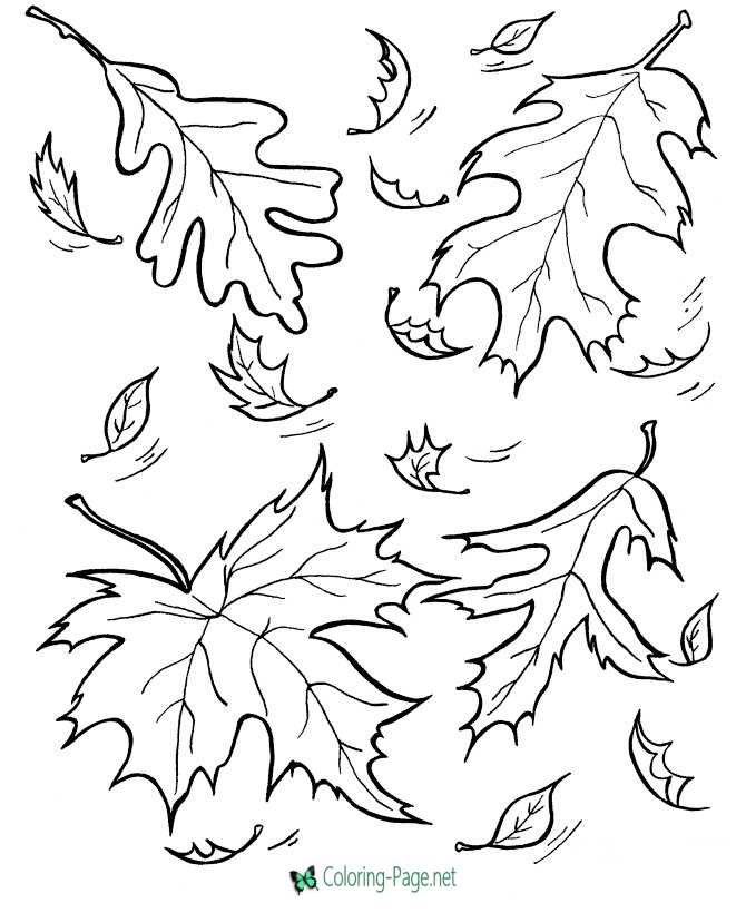 Fall Coloring Pages Leaves