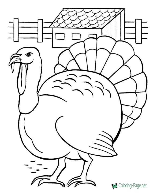 Farm Coloring Pages Turkey