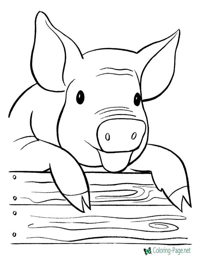 Farm Coloring Pages to Print and Color