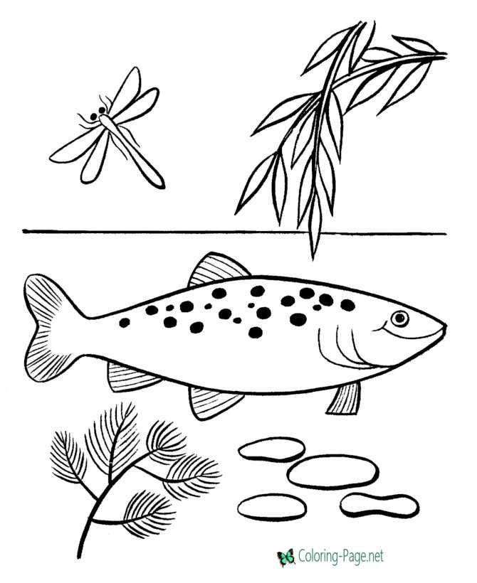 print coloring page