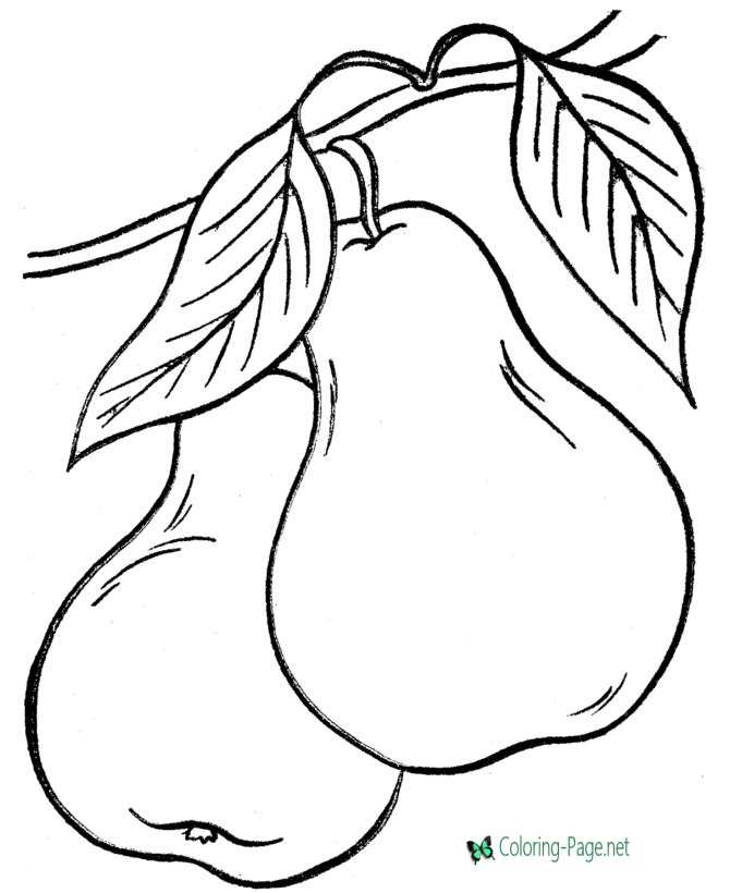 Food Coloring Pages Pears