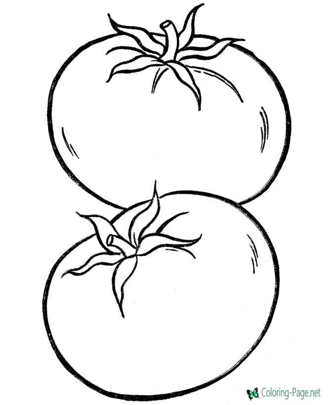 Food Coloring Pages Tomatoes