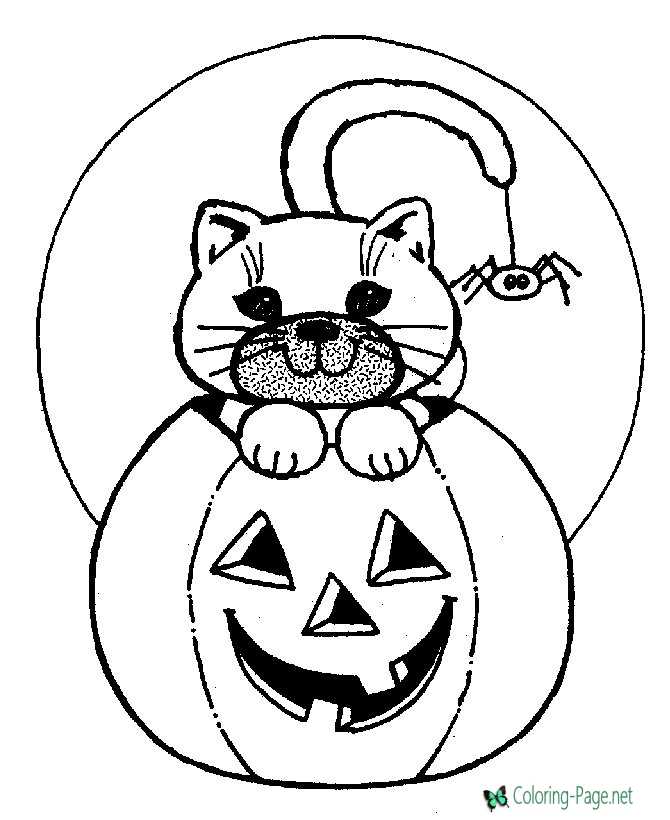 Halloween Coloring Pages Cat on Jack O Lantern