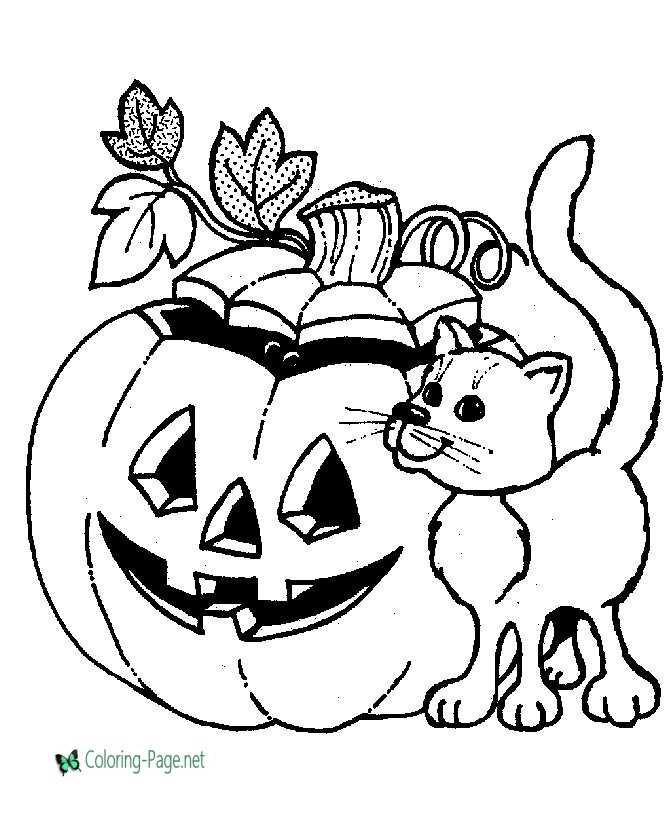 Halloween Coloring Pages Pumpkin Cat