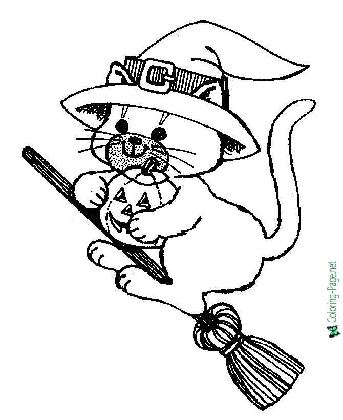 Cat Flying Broom Halloween Coloring Pages