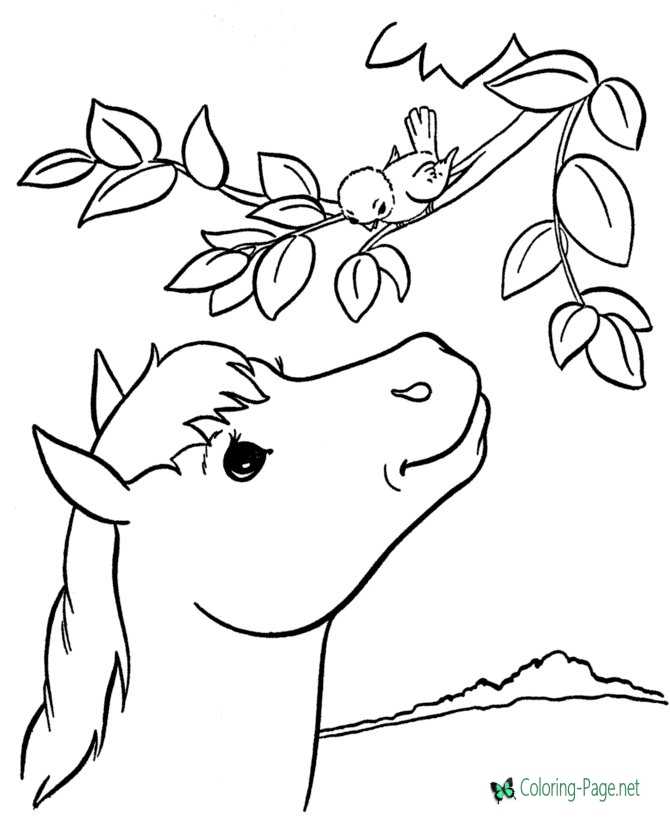 printable horse coloring page