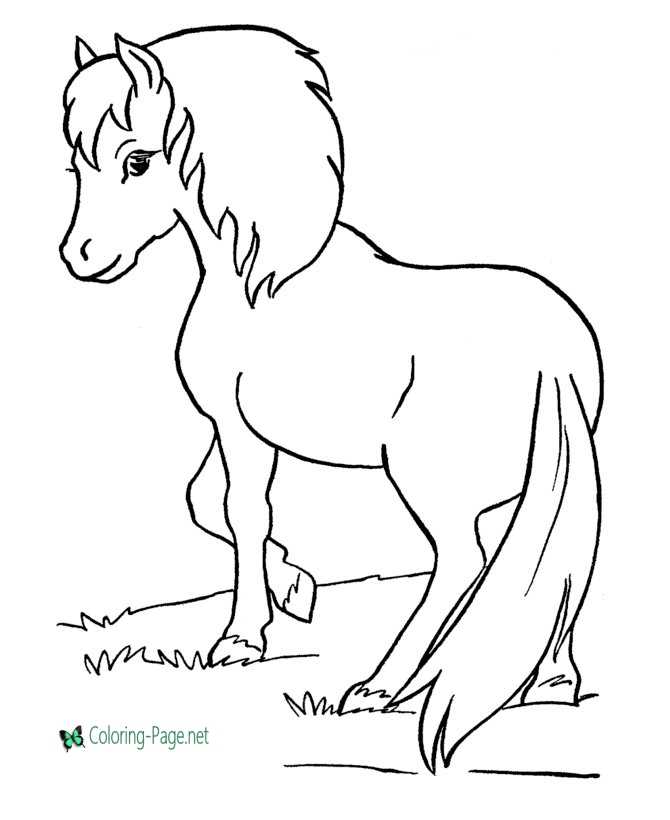 Horse Coloring Pages Shetland Pony