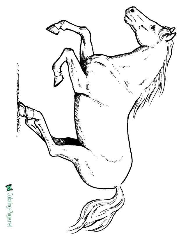 Running Stallion Horse Coloring Pages