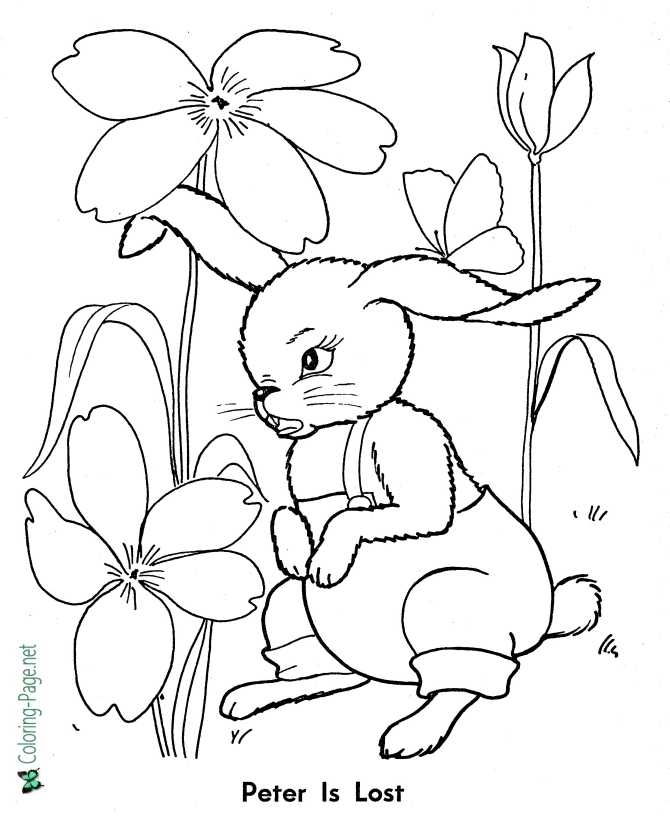 printable peter rabbit coloring pages