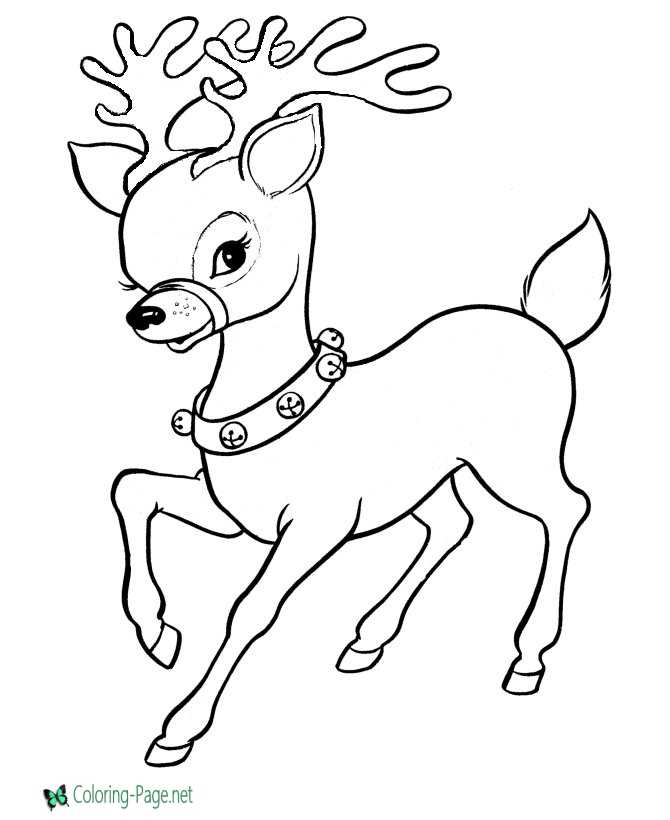 print reindeer coloring page