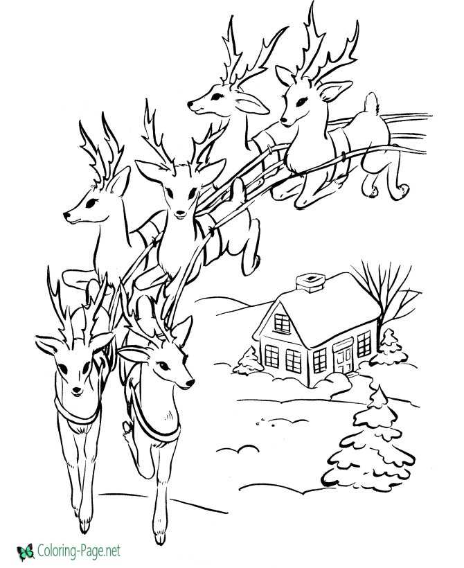 printable reindeer coloring page