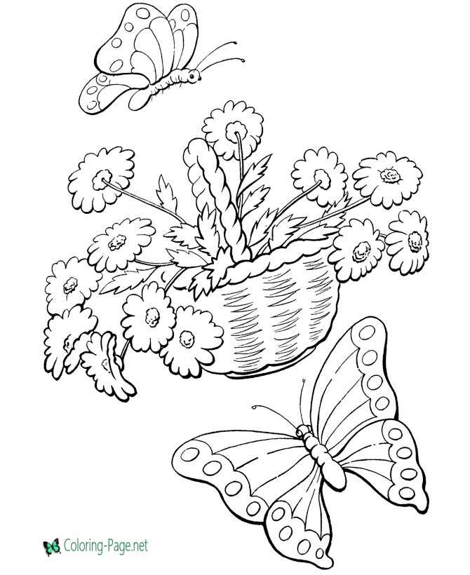 Spring Coloring Pages Butterflies