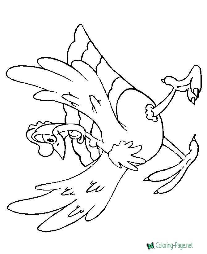 Thanksgiving Coloring Pages Happy Bird