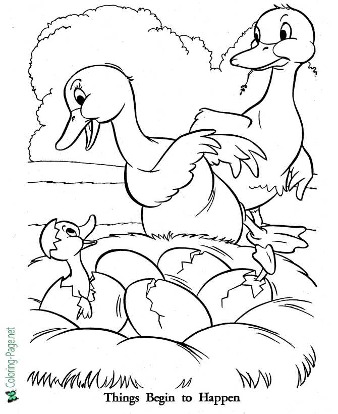 Ugly Duckling coloring page for children