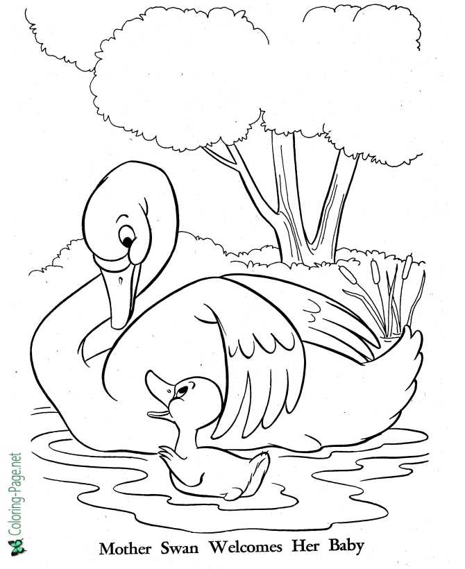 Mother Swan Welcomes The Ugly Duckling Coloring Page