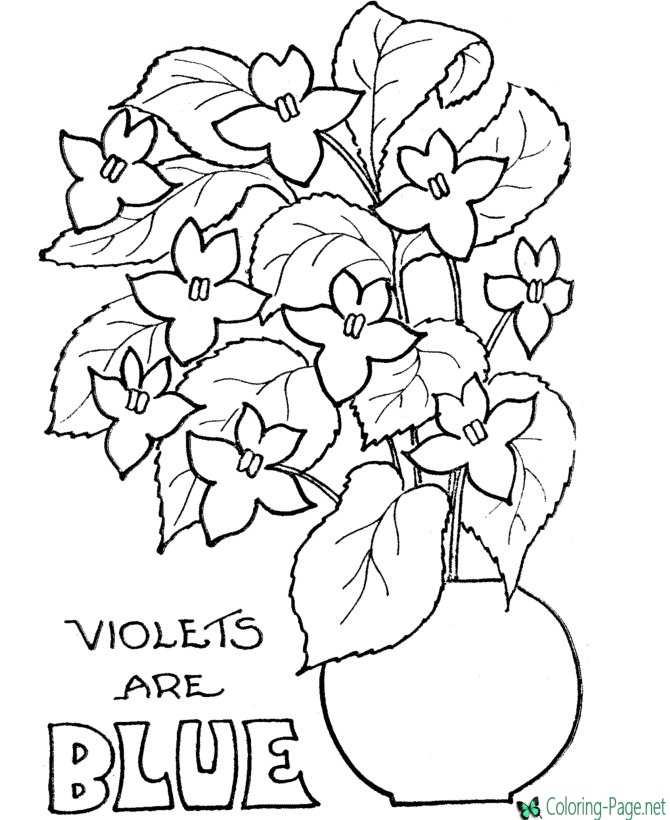Valentine flower color page